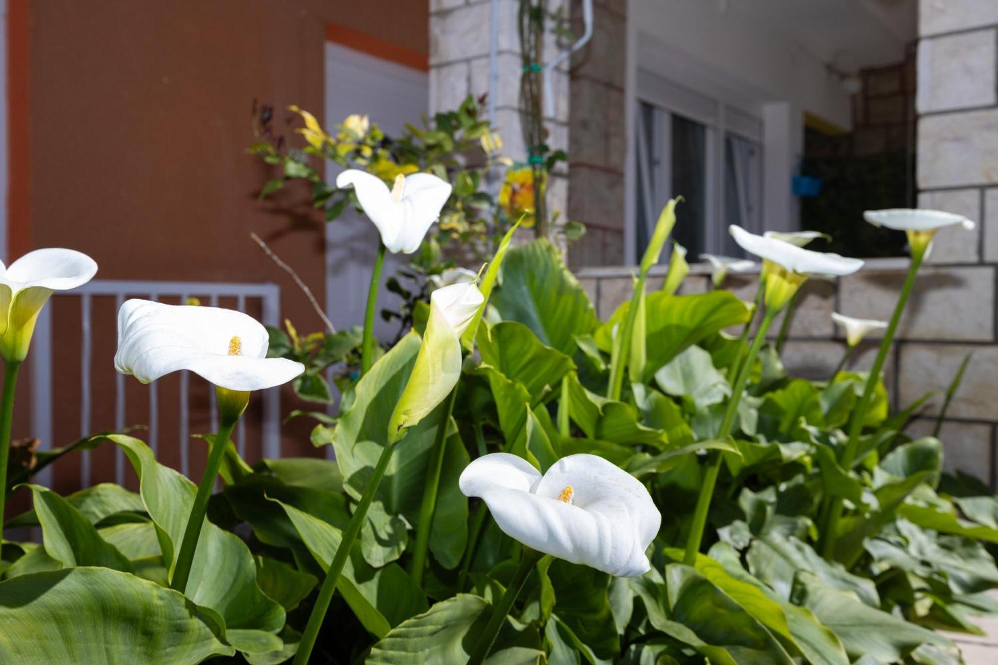Apartments Marija Split Exterior foto